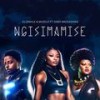 Ngisimamise (feat. Sindi Nkosazana) - DJ Zinhle&Mvzzle&Sindi Nkosazana