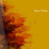 Ellipsoids (Original Mix) - Sigother