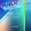One That I Want (Acoustic) - Public