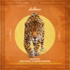 Sad at Window (Noble Spirits Remix) - Audiense&Noble Spirits