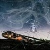 Debris (Feat. GB) - fanorama&gb