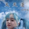 大天蓬 (DJ版) - DJ阿域