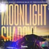 Moonlight Shadow(feat. Tess Burrstone) - Madism&Masove&Brendan Mills&Tess Burrstone