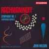 Symphony No. 1 in D Minor, Op. 13: II. Allegro animato - Sinfonia of London&John Wilson