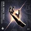 Feel This Way - Thomas Newson&Hollaphonic