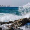 Bajau - Raul Techmal