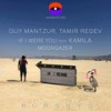 If I Were You (feat. Kamila) - Guy Mantzur&Tamir Regev&Kamila