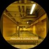 Daylight Is Overrated (Phoenix In My Ibis Mix) - Prinsjan&Dennis Ruyer