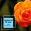 Ocean Heart (Original Mix) - Yogsutra Relaxation Co