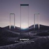 Satellites - Synergy&flowanastasia