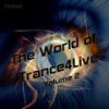 Beautiful Faulties (Original Mix) - Wiwied Wicaksono (DJM)