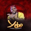Yebo 2.0 - DJ Baddo&Professional