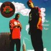 Natural Born Hustlas (Explicit) - Total Devastation