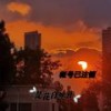 是花自然开 - 账号已注销