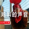 鸡叫的声音 (Dj进行曲) - DJHY