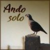 Ando Solo - TIann