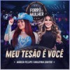 Meu Tesão é Você (Ao Vivo) - Márcia Fellipe&Walkyria Santos