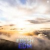 Spring Breeze - Synthetic Epiphany