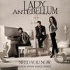 Need You Now (Jason Nevins Rhythmic Single Edit) - Lady A