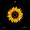 Misunderstood (Original Mix) - Ken Zo