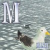 YourLifeIsFake - Millham
