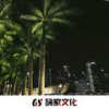 Dance Monkey (Remix) - 精彩强Sir