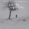 我在这个冬天下雪时想你 (吉他版) - 刘大壮