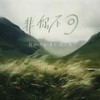 河边的芦苇 - 阿讯
