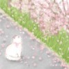 流淌 - 相信自己