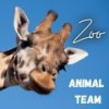 Voll - Animal Team