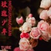 玫瑰少年 (小提琴版) - 小k橘子