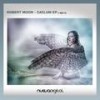 Caelum - Robert Moon