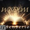 They will see (Explicit) - SenSerio