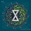 Falling - Holon