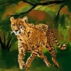 Running with the Cheetah - Davey Harris&Hearts Beat Music