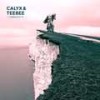 Human Reptile (Calyx & Teebee Remix) - TeeBee