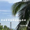 APT (四川版) - DJ小涵