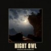 Night Owl (feat. Gold) (Explicit) - Viperactive